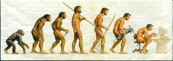 picture of apes evolving into man and then onto a computer geek