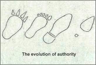 The evolution of authority